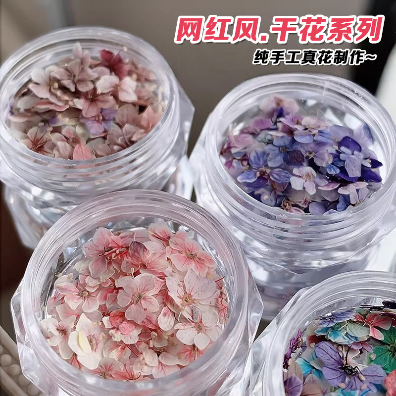Nail Art Dried Flowers Real Flower Materials Mixed Set Monet Garden Five-Petal Flower Materials Flower Decorations Small Floral Nail Decorations