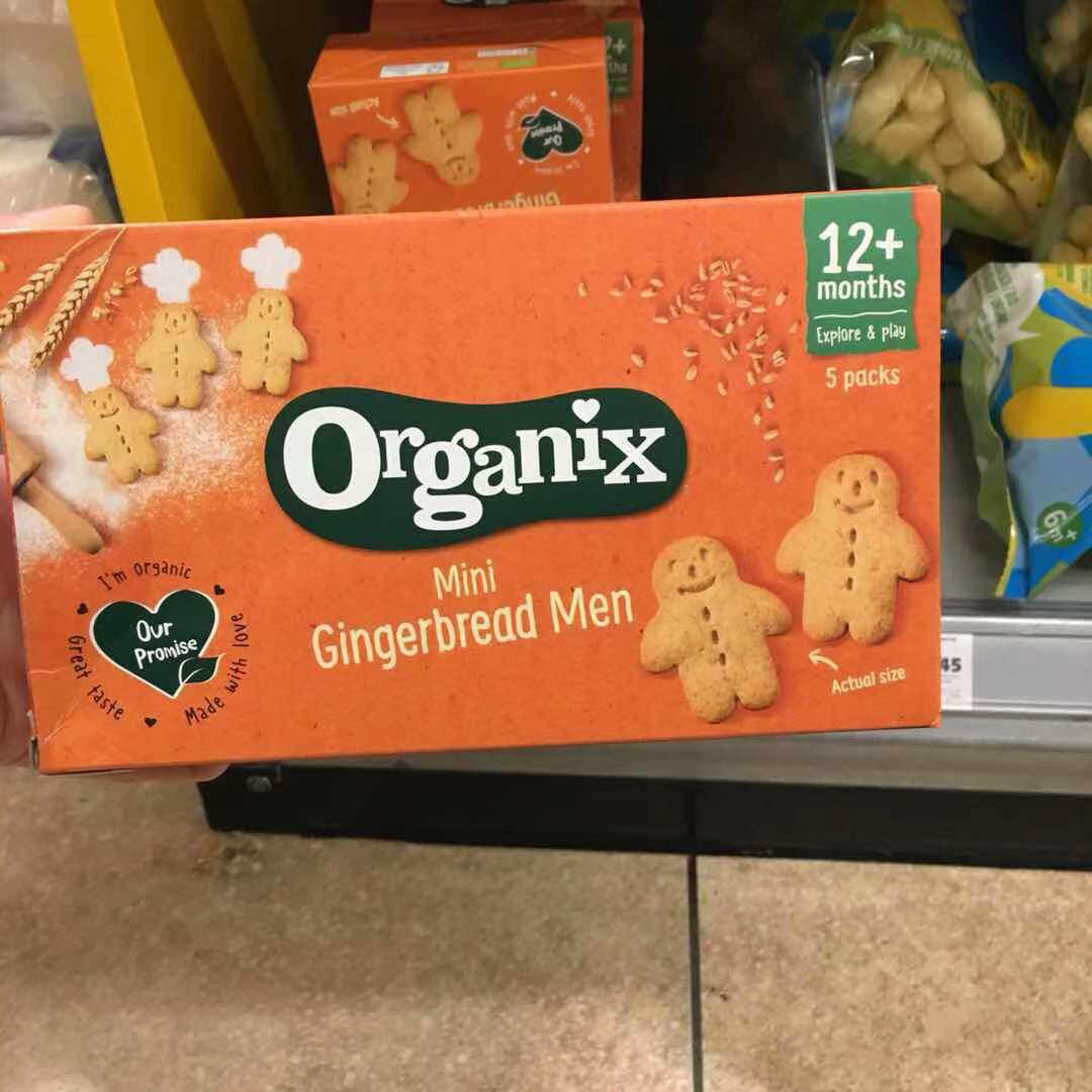 Spot Netherlands Organix toddler organic gingerbread villain molar biscuits 12M baby children's snacks non-staple food