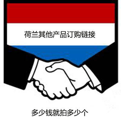 Orders for other products from the Netherlands