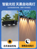 Solar-Powered Outdoor Home Garden Lights 2026 New Model Popular Small Yard Decoration Rural Waterproof Lighting Wall Washer Lights