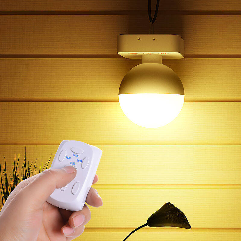 �������ᴴ������ledСҹ��