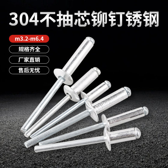 304 stainless steel pull rivets pull core rivets flat round head decoration aluminum alloy doors and windows pull rivets M3.2M4M5M6