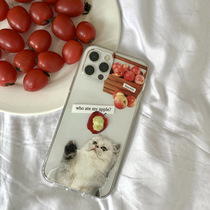 Japanese and Korean in fun cat and Apple iPhone 14pro 13 Pro Apple 12 proMax mobile shell sleeve