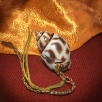 The original ecological portable old conch from the Qing Dynasty in Tibetan areas. The special and auspicious old conch from the Tibetan Qing Dynasty.