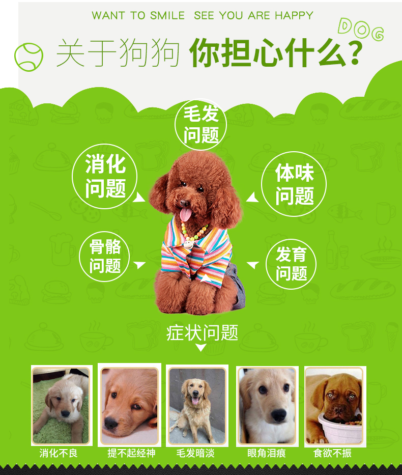 Thức ăn cho chó loại phổ biến nhập khẩu 5kg thịt bò chính tả 10 pound chó nhỏ vừa và lớn Teddy Samoyed Lông vàng 40% chó con - Chó Staples hạt cho chó con