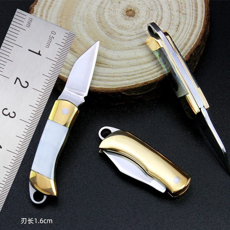 Stainless steel mini knife hand-edged pocket folding knife outdoor tool carry-on express knife keychain