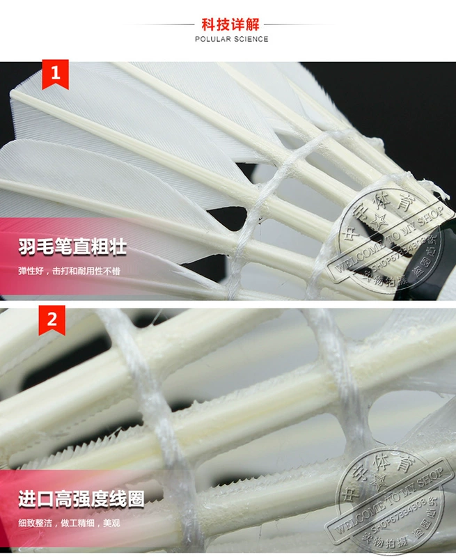Cầu lông rồng sư tử châu Á chính hãng RSL3 số RSL4 cầu lông thi đấu cấp độ kháng ổn định để phát huy 5 ống