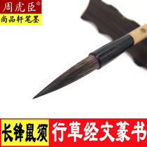 Zhou Huchen Mushen Squirrel Cashu Cushu cursive calligraphy thin gold student calligraphy Chinese painting Lake pen beginner