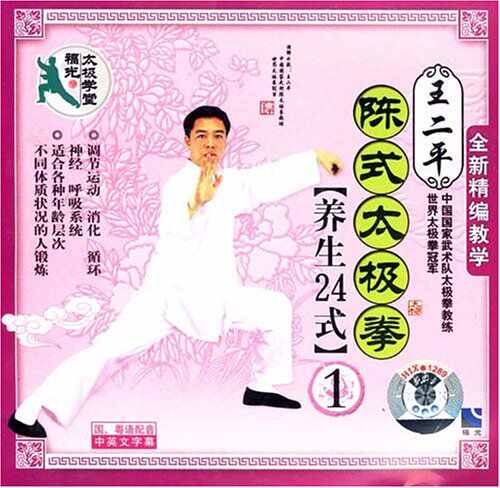 太極拳DVD 53枚セット大量まとめ陳式四十二式太極