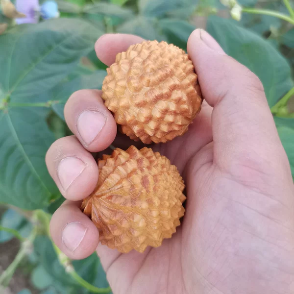 Товары от 匠石人
