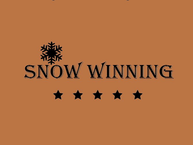 SNOWWINNING皮草工厂店