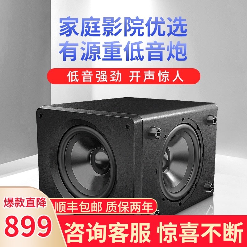 trasam all want H10B10 inch active subwoofer heavy plate double speaker subwoofer home theater