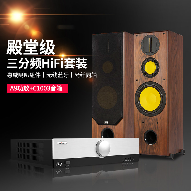 Aijia 10 inch audiophile grade HiFi speaker Floor-to-ceiling home theater high-power audio amplifier set Huiwei speaker