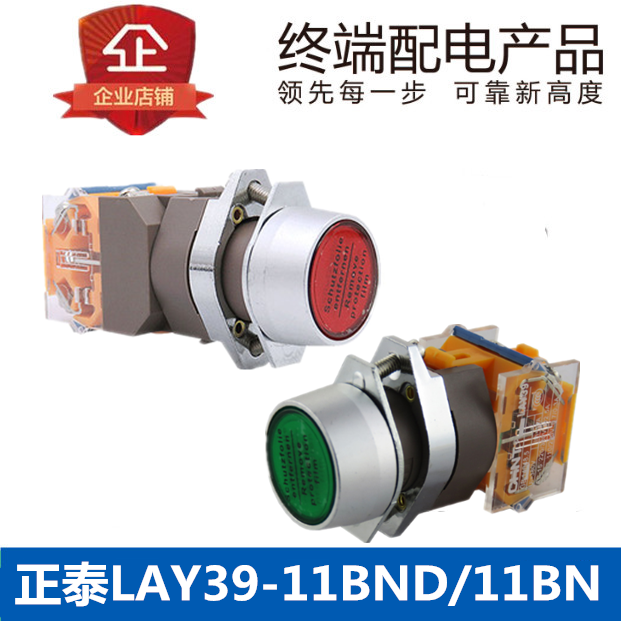 Astronergy LAY39-11BN Red Green Jogging Button Switch with Light Flat Head Self Reset 1 On 1 Off