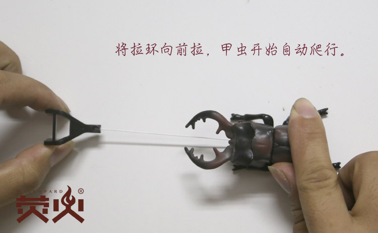 Khủng long Bandai nguyên bản bionic bọ cánh cứng di chuyển mô hình côn trùng tay sinh nhật quà tặng mô hình động vật - Capsule Đồ chơi / Búp bê / BJD / Đồ chơi binh sĩ mô hình one piece giá rẻ