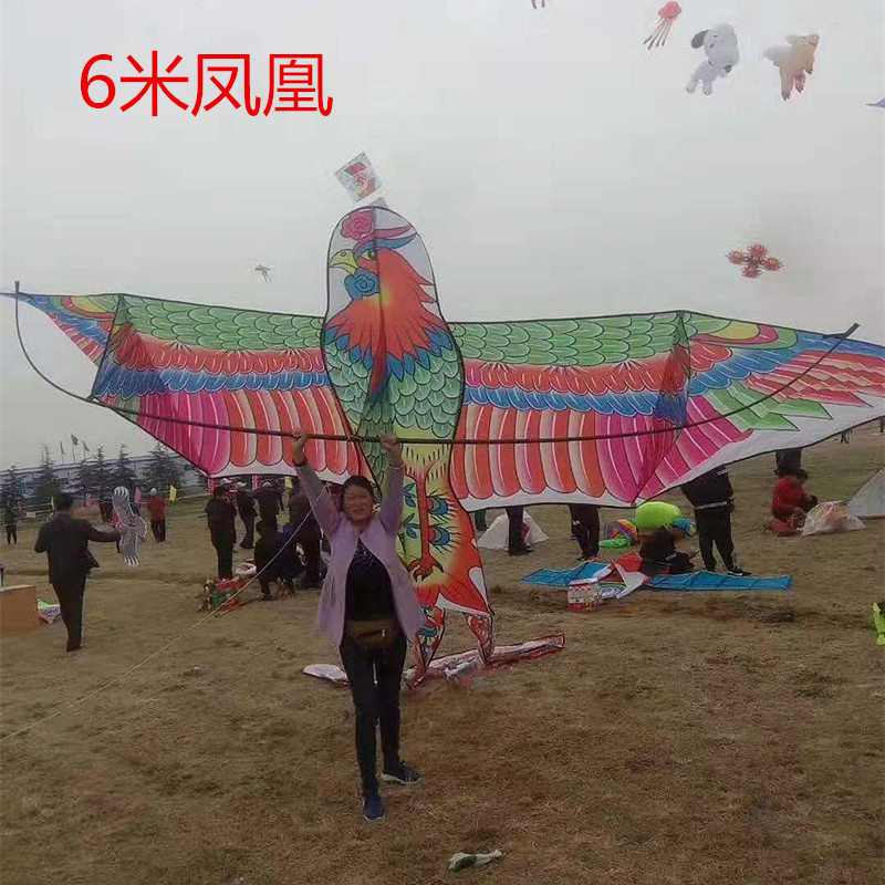 Weifang kite new 6 meters 3 6 meters large front strut big steel eagle Modern eagle Phoenix three-dimensional good fly domineering