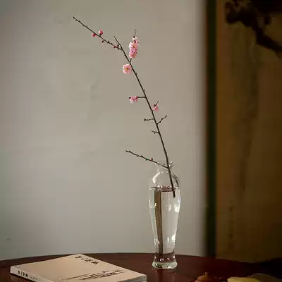 Yunwo Glass Vase ornaments living room flower arrangement transparent household Japanese flower Flower Ware hydroponic hydroponic simple creativity