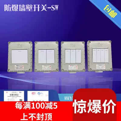 Explosion-proof switch 220V10A open and concealed socket 86 type single open double switch three open explosion-proof wall switch