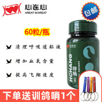  Heart-to-heart pigeon medicine Huchang capsules 60 capsules Respiratory tract cleaning unobstructed increase blood oxygen content Pigeon medicine Daquan