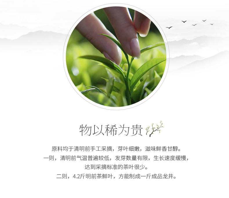 六和塔 21年新茶 明前特级 西湖龙井 200g 礼盒装 图5