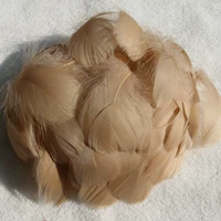 Около 100 мелководных кофе