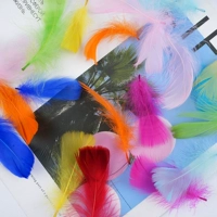 Верблюд № 2 яркий смешанный цвет 50 корней