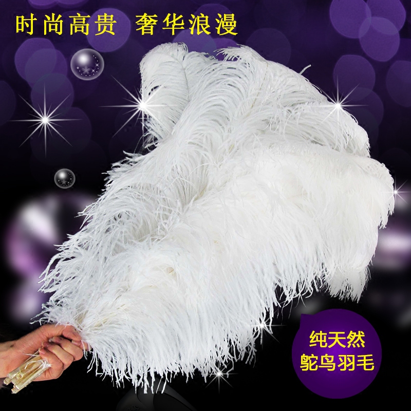 South Africa imported 15-80cm Ostrich big feather diy feather guide table flower wedding decoration feather