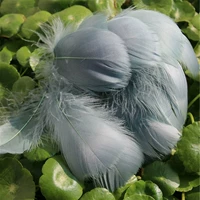 Около 100 корней серого зеленого