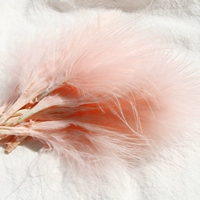 Шампанское vesiculus около 50 штук