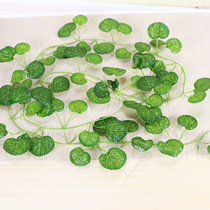 Living Room Ceiling Fake Flower Fields Garden Piping Plant Decoration Emulation Green Maple Leaf Plastic Vines Evergreen Vines