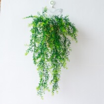 Manufacturer simulation plant hanging bell hanging rattan bar wall-mounted indoor decoration