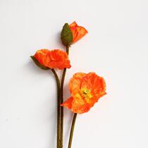 3 heads with shell simulation poppies large poppies simulation flowers silk flowers new soft photography