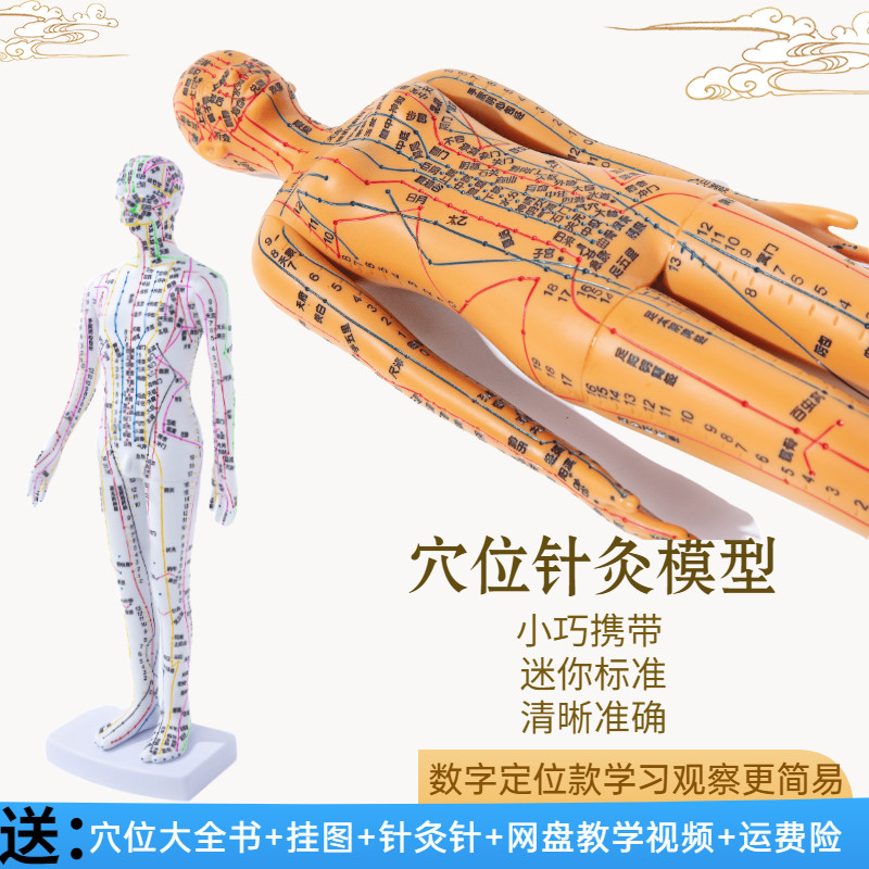 超清晰经络穴位针灸小人模35cm针炙穴位模型中医迷你穴位人体模型