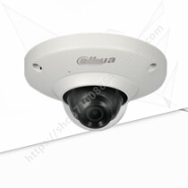 Dahua English Edition DH-IPC-EB5531P 5MP Fisheye Camera DAHUA fish eye camera