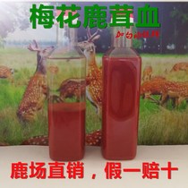 Jilin sika deer fresh plum blossom deer blood plus liquor preservation Changbai mountain deer blood wine 500ml