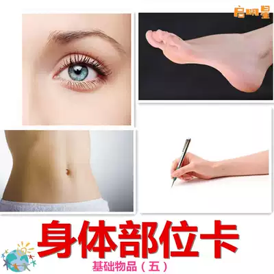 身体部位名称与功能自闭症孤独症肢体认知语言康复训练教具