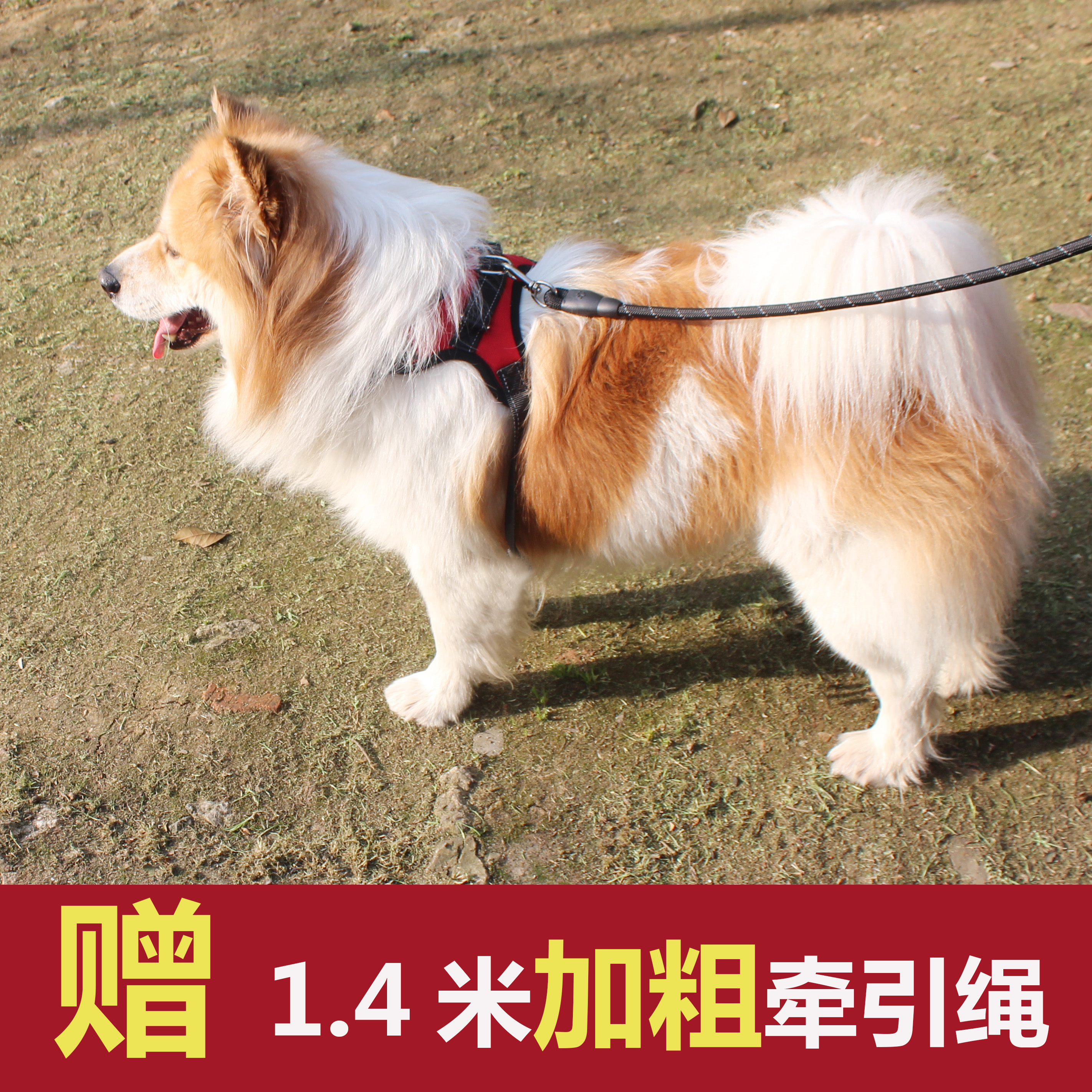 Corgi Labrador leash vest-type medium-sized dog leash than bear dog leash explosion-proof red walking dog