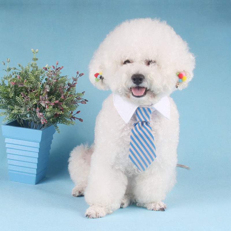 Kitty Collar Tie Pooch Pet Tie Teddy Decoration Item Ring Pei Accessories Yinglen Small Dog Butterfly Knot Pet Supplies