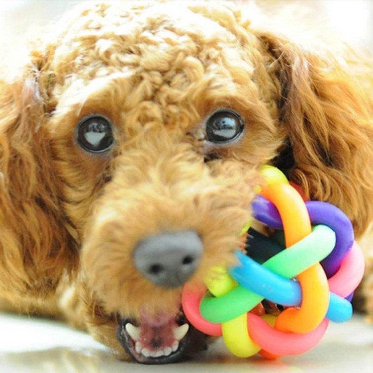 Pet Toys Seven Rainbow Balls Rainbow Balls Resistant to Bite Built-in Bell Dogs Toy Kitty Toy Pet Supplies