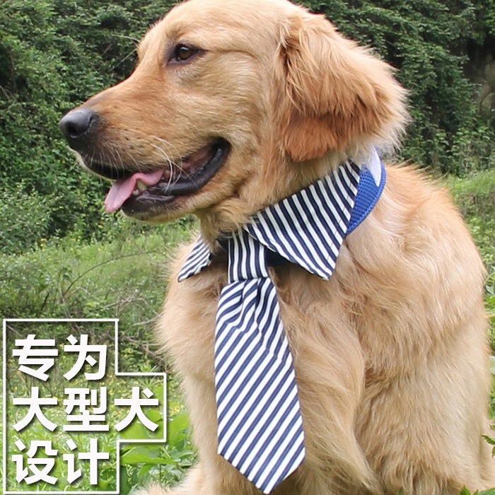 Dog collar with floral bow tie neckline large canine neckline Neck Golden Hair Samo Pet Dog Handsome Qi accessories Summer