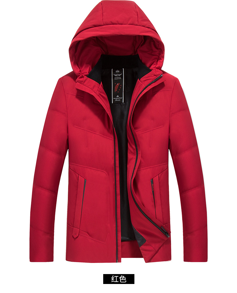 Blouson homme ROMON   - Ref 3123221 Image 19