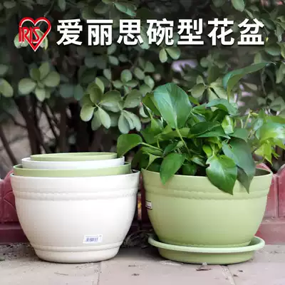 IRIS bowl-shaped flowerpot resin imitation ceramic plastic succulent plant combination potted seed golden GE simple flower pot