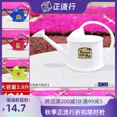 IRIS resin watered flower pot small watering pot home gardening flowers succulents sprinkling kettle full