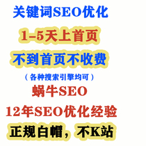 seo optimization fast ranking website keyword ranking optimization website promotion search engine optimization 1-5 days to the home page