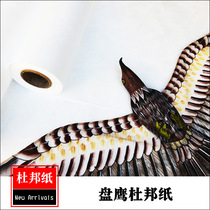 Panying DIY making materials Dupont paper plate eagle paper kite paper making kite accessories