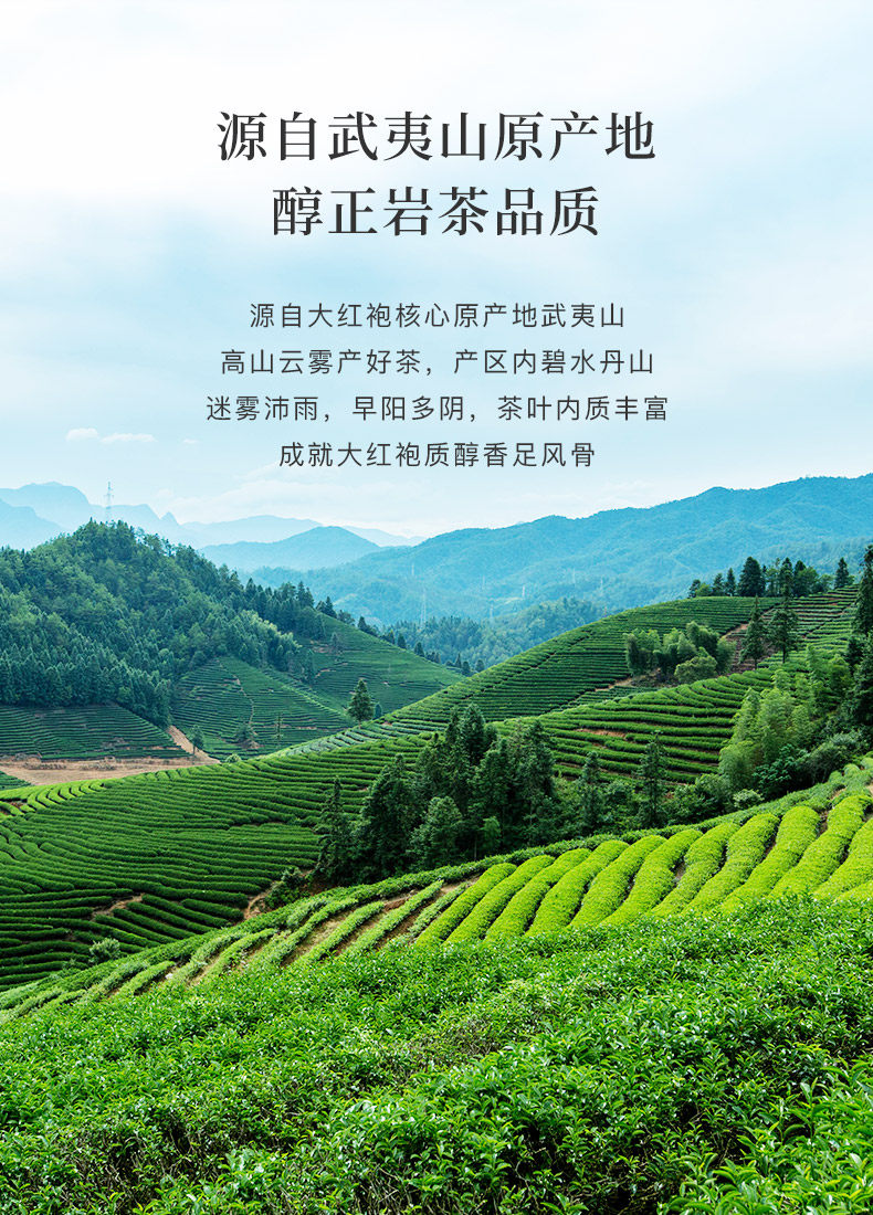 【中國直郵】 八馬茶業 武夷山岩茶 大紅袍茶葉烏龍茶葉自己喝 50g