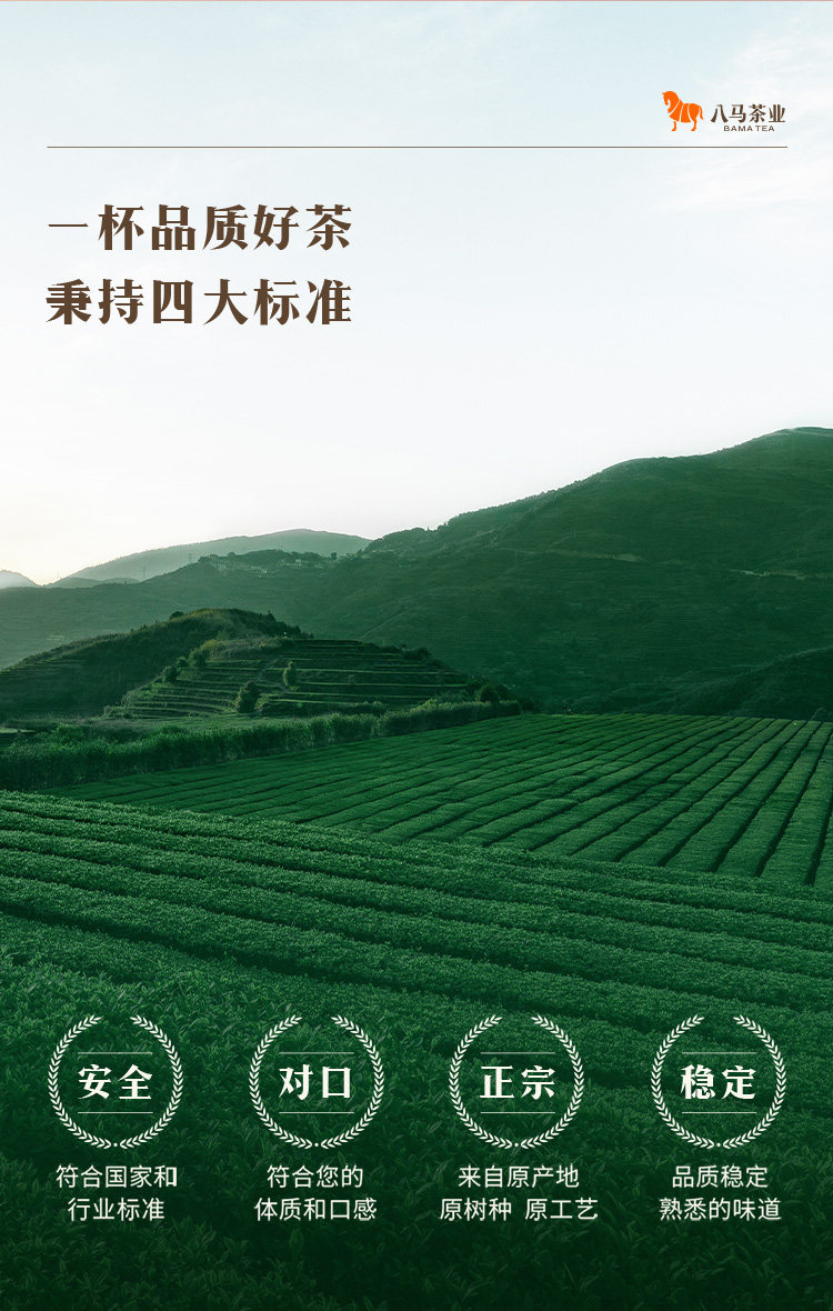 【中國直郵】 八馬茶業 八馬茶葉 安溪鐵觀音 濃香型烏龍茶 特級賽珍珠1000 迷你裝25g/盒