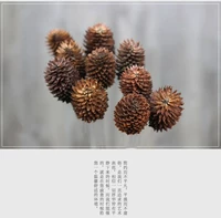 Han Blue → 5 Первичные Osmanthus и фрукты