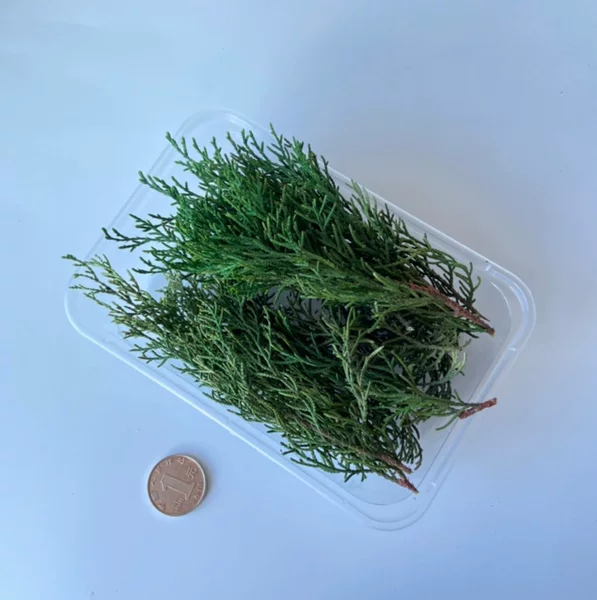 Товары от xiaoliao优乐美