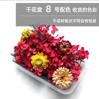 Небо синий цвет цвета сухой цветок 10